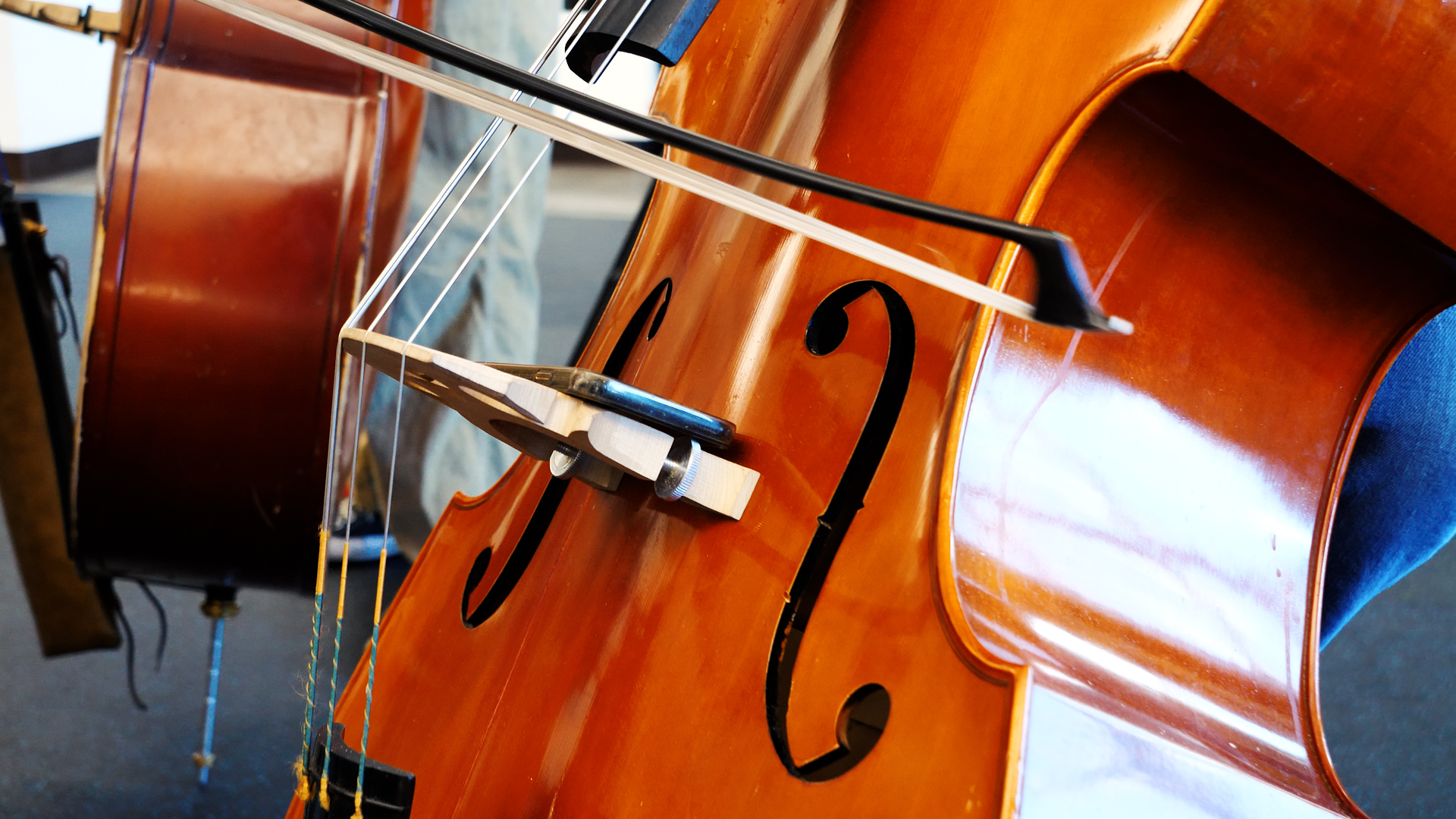  contra bass